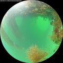 ./images/calvert/underwater/20260827/underwater20260827_114001M.jpg