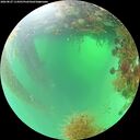 ./images/calvert/underwater/20260827/underwater20260827_114501M.jpg