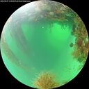 ./images/calvert/underwater/20260827/underwater20260827_115001M.jpg
