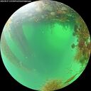 ./images/calvert/underwater/20260827/underwater20260827_115501M.jpg