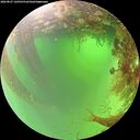 ./images/calvert/underwater/20260827/underwater20260827_120501M.jpg
