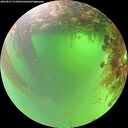 ./images/calvert/underwater/20260827/underwater20260827_121001M.jpg