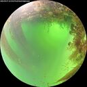 ./images/calvert/underwater/20260827/underwater20260827_121501M.jpg