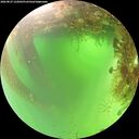 ./images/calvert/underwater/20260827/underwater20260827_122002M.jpg