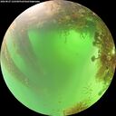 ./images/calvert/underwater/20260827/underwater20260827_122501M.jpg