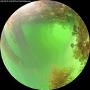 ./images/calvert/underwater/20260827/underwater20260827_123501M.jpg