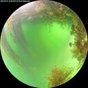 ./images/calvert/underwater/20260827/underwater20260827_124001M.jpg