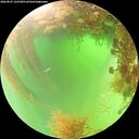 ./images/calvert/underwater/20260827/underwater20260827_125501M.jpg