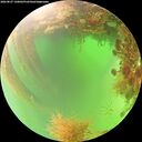 ./images/calvert/underwater/20260827/underwater20260827_130001M.jpg