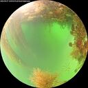 ./images/calvert/underwater/20260827/underwater20260827_130501M.jpg