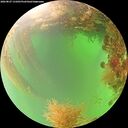 ./images/calvert/underwater/20260827/underwater20260827_131001M.jpg