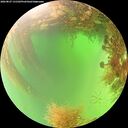 ./images/calvert/underwater/20260827/underwater20260827_131501M.jpg