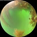 ./images/calvert/underwater/20260827/underwater20260827_132002M.jpg