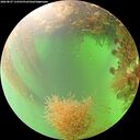 ./images/calvert/underwater/20260827/underwater20260827_133501M.jpg