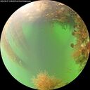 ./images/calvert/underwater/20260827/underwater20260827_134001M.jpg