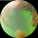 ./images/calvert/underwater/20260827/underwater20260827_134501M.jpg