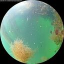 ./images/calvert/underwater/20260827/underwater20260827_135002M.jpg