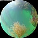 ./images/calvert/underwater/20260827/underwater20260827_135501M.jpg