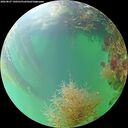 ./images/calvert/underwater/20260827/underwater20260827_140501M.jpg