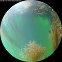 ./images/calvert/underwater/20260827/underwater20260827_141002M.jpg
