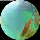 ./images/calvert/underwater/20260827/underwater20260827_144001M.jpg