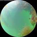 ./images/calvert/underwater/20260827/underwater20260827_144501M.jpg