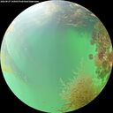 ./images/calvert/underwater/20260827/underwater20260827_145001M.jpg