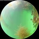 ./images/calvert/underwater/20260827/underwater20260827_150501M.jpg