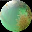 ./images/calvert/underwater/20260827/underwater20260827_151001M.jpg