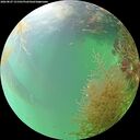 ./images/calvert/underwater/20260827/underwater20260827_151501M.jpg