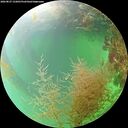 ./images/calvert/underwater/20260827/underwater20260827_152001M.jpg