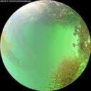 ./images/calvert/underwater/20260827/underwater20260827_152501M.jpg