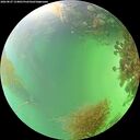 ./images/calvert/underwater/20260827/underwater20260827_154001M.jpg