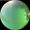 ./images/calvert/underwater/20260827/underwater20260827_154501M.jpg
