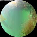 ./images/calvert/underwater/20260827/underwater20260827_155501M.jpg