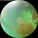 ./images/calvert/underwater/20260827/underwater20260827_160001M.jpg