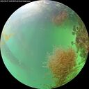 ./images/calvert/underwater/20260827/underwater20260827_160501M.jpg
