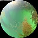 ./images/calvert/underwater/20260827/underwater20260827_162501M.jpg