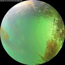 ./images/calvert/underwater/20260827/underwater20260827_163501M.jpg