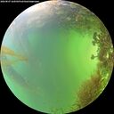 ./images/calvert/underwater/20260827/underwater20260827_164502M.jpg