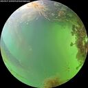 ./images/calvert/underwater/20260827/underwater20260827_165002M.jpg