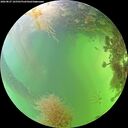 ./images/calvert/underwater/20260827/underwater20260827_165501M.jpg
