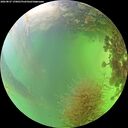 ./images/calvert/underwater/20260827/underwater20260827_170001M.jpg