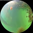 ./images/calvert/underwater/20260827/underwater20260827_170501M.jpg