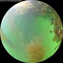 ./images/calvert/underwater/20260827/underwater20260827_171001M.jpg