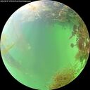 ./images/calvert/underwater/20260827/underwater20260827_172502M.jpg