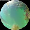 ./images/calvert/underwater/20260827/underwater20260827_182501M.jpg