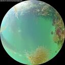 ./images/calvert/underwater/20260827/underwater20260827_183501M.jpg