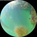 ./images/calvert/underwater/20260827/underwater20260827_184001M.jpg