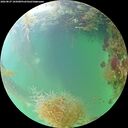 ./images/calvert/underwater/20260827/underwater20260827_185001M.jpg